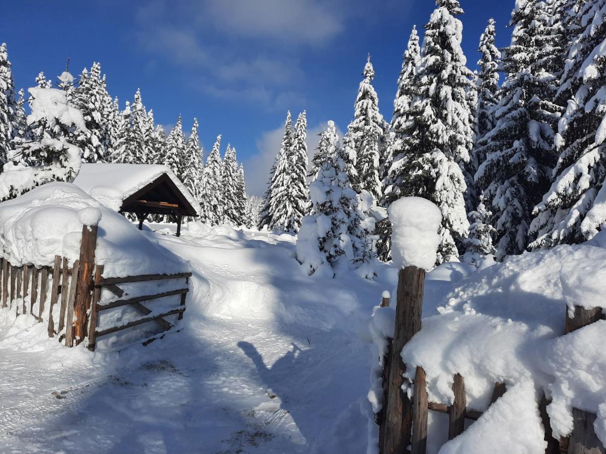 Vila Jelena Jahorina Zewnętrze zdjęcie