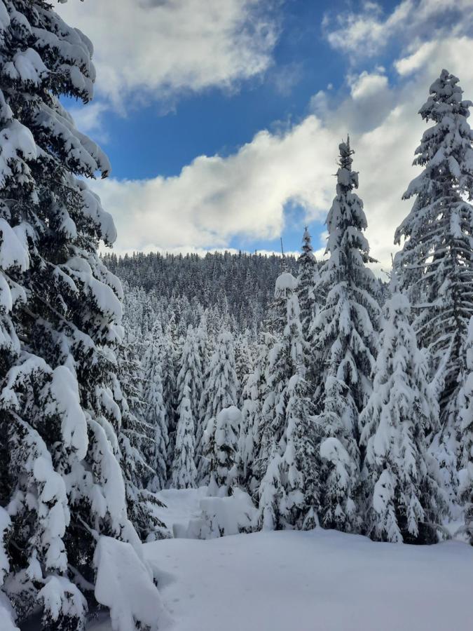 Vila Jelena Jahorina Zewnętrze zdjęcie