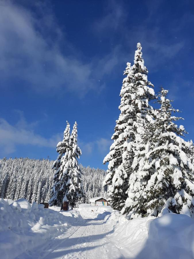 Vila Jelena Jahorina Zewnętrze zdjęcie