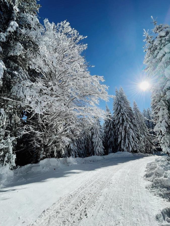 Vila Jelena Jahorina Zewnętrze zdjęcie